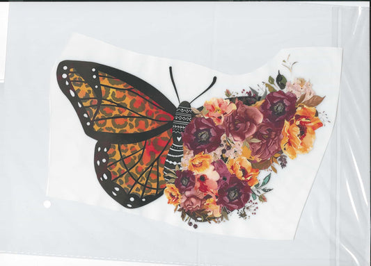 Butterfly #6